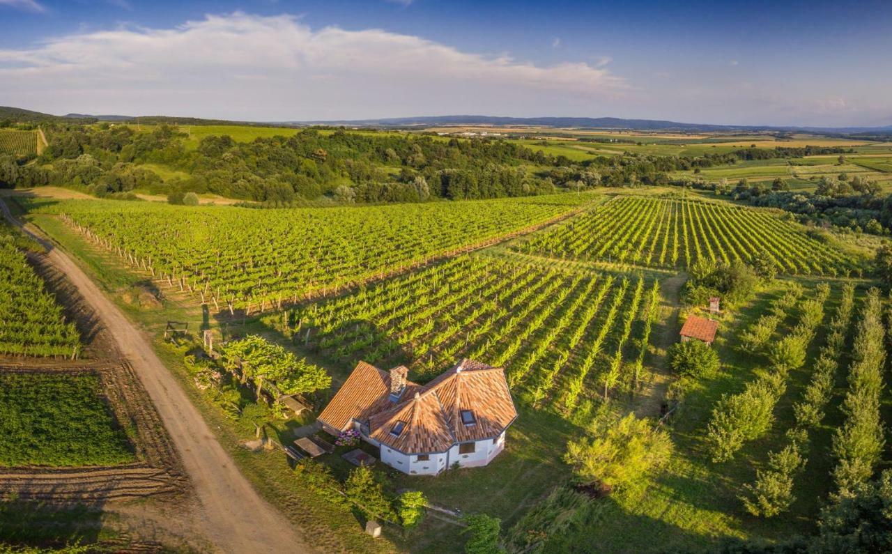 Robinson Vila Kitokret Kutjevo Екстериор снимка