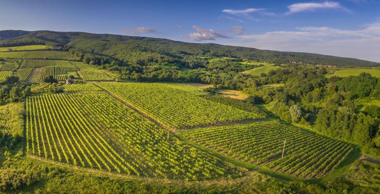 Robinson Vila Kitokret Kutjevo Екстериор снимка