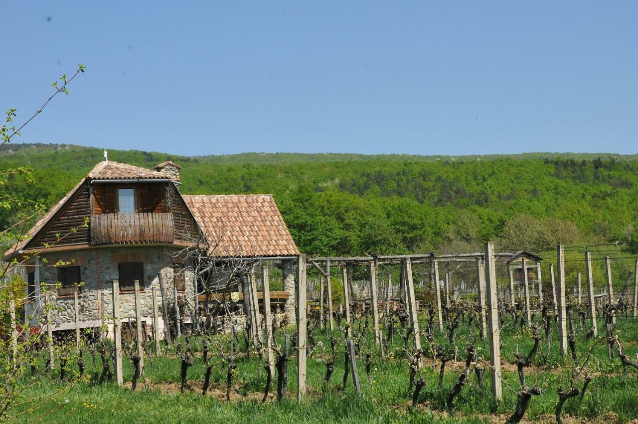 Robinson Vila Kitokret Kutjevo Екстериор снимка